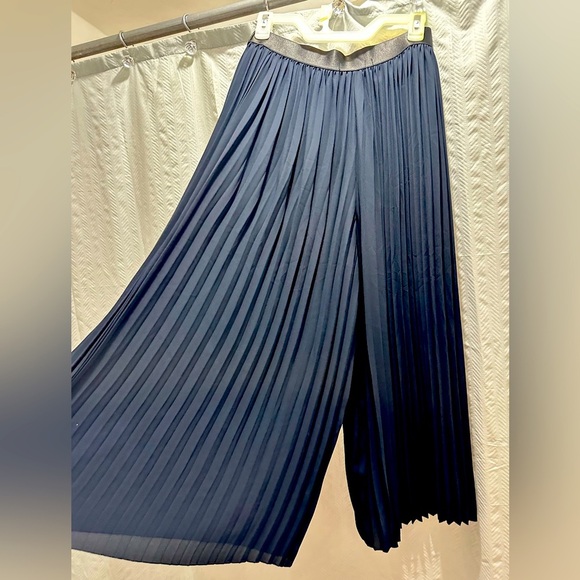 Pants - Zara Elegant Navy Blue Pleated PALAZZO NWOT